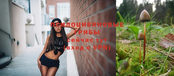 кокс Абаза