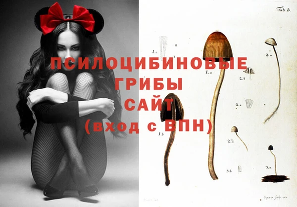 винт Абинск