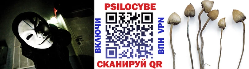 Галлюциногенные грибы мицелий  Рассказово 