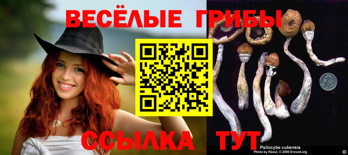 Псилоцибиновые грибы мицелий  Вход с VPN  Рассказово 